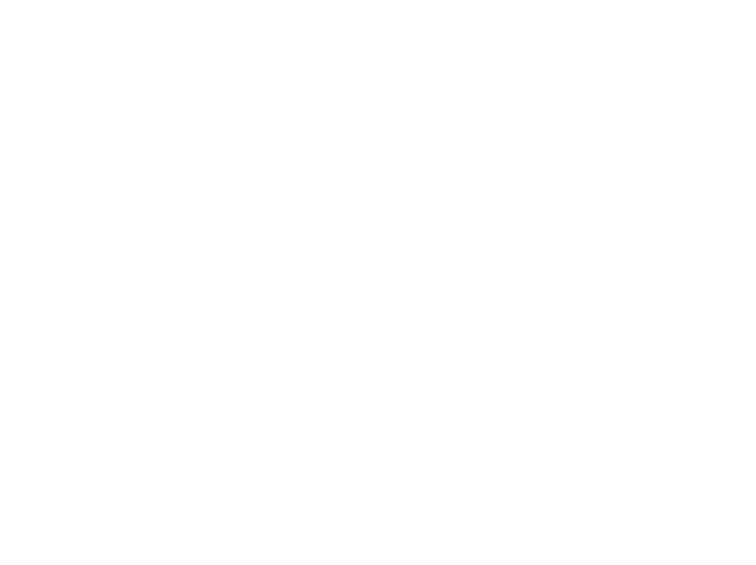 Raiden Logo